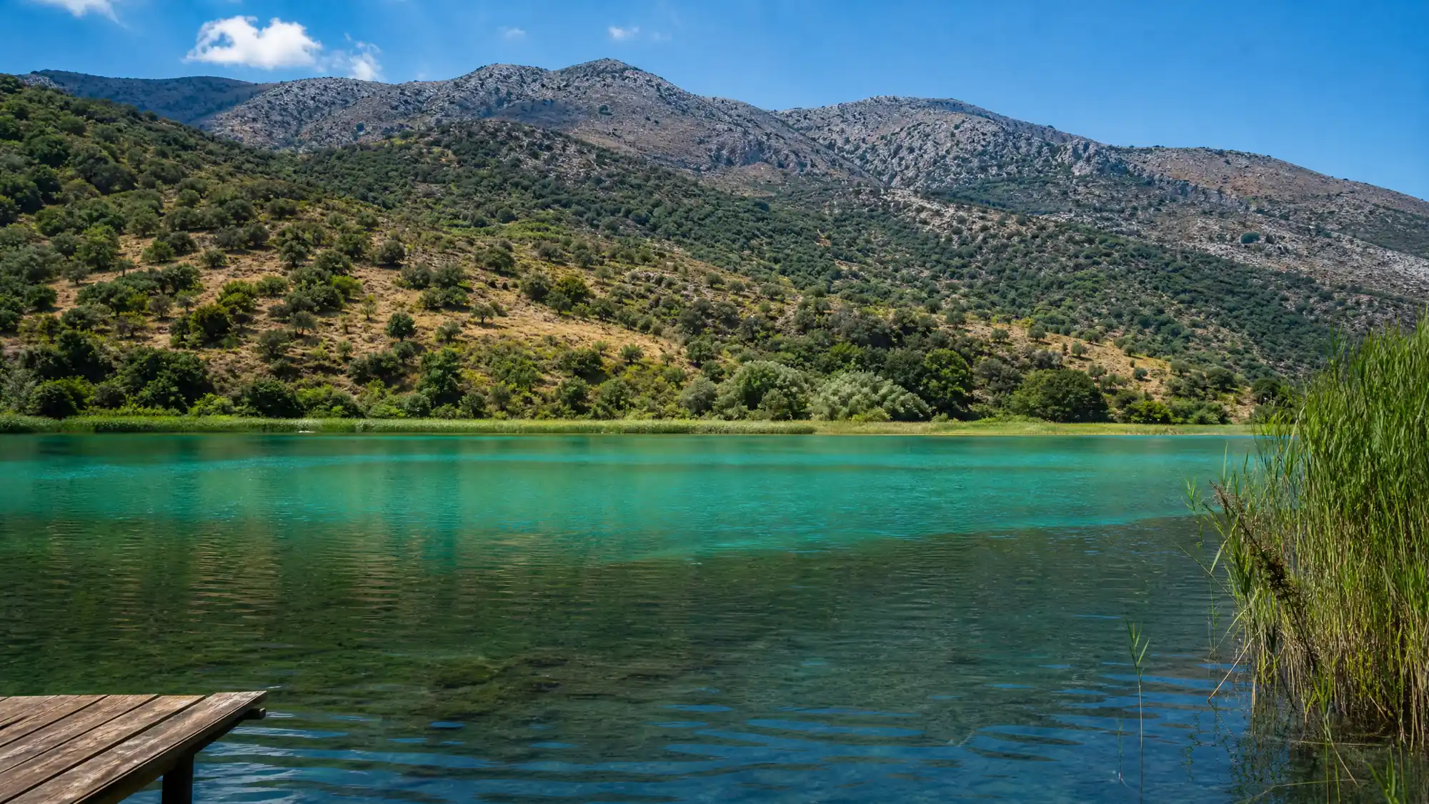 Besuchen Sie den einzigen natürlichen Süßwassersee Kretas. Schwimmen Sie im klaren Wasser, mieten Sie ein Tretboot und entdecken Sie seltene Wasserchildkröten. Der Eintritt ist völlig kostenlos.