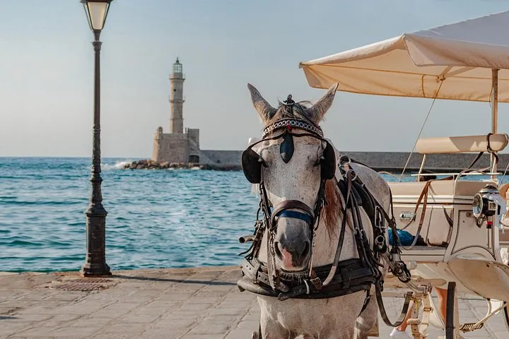Gros plan sur un cheval blanc tirant une calèche près d’un phare